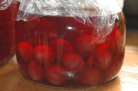 Śliwa wiśniowa (ałycza)