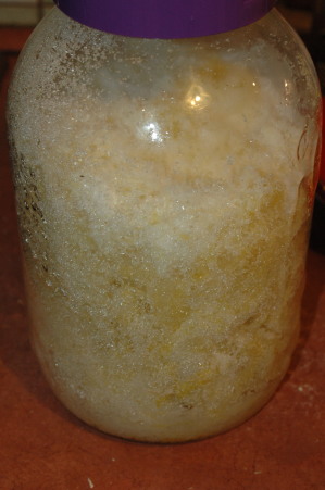 Nalewka tarninowa